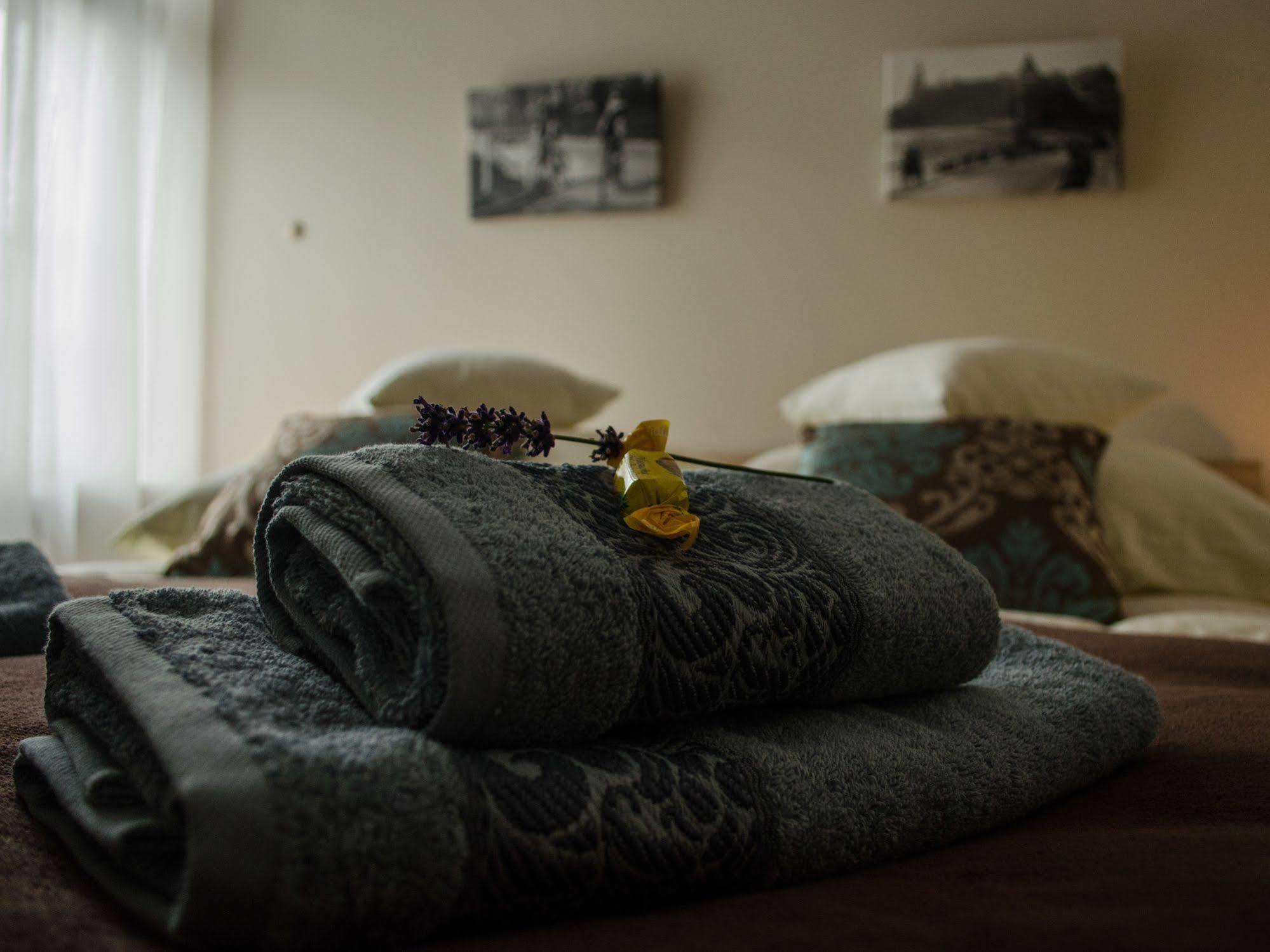Royal Route 29 Comfort Rooms Krakov Exteriér fotografie